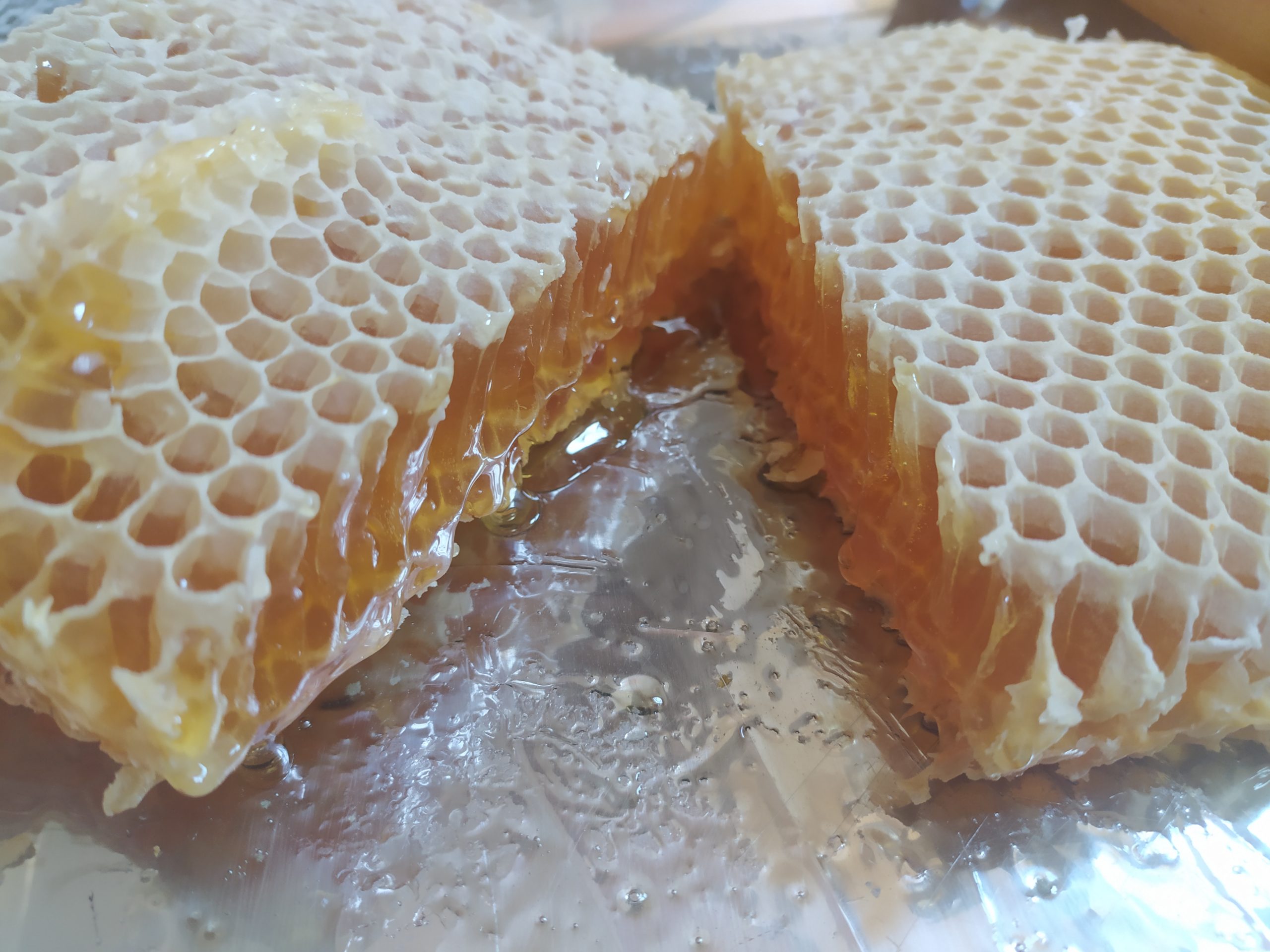 Miele in Favo di Melata 200 g