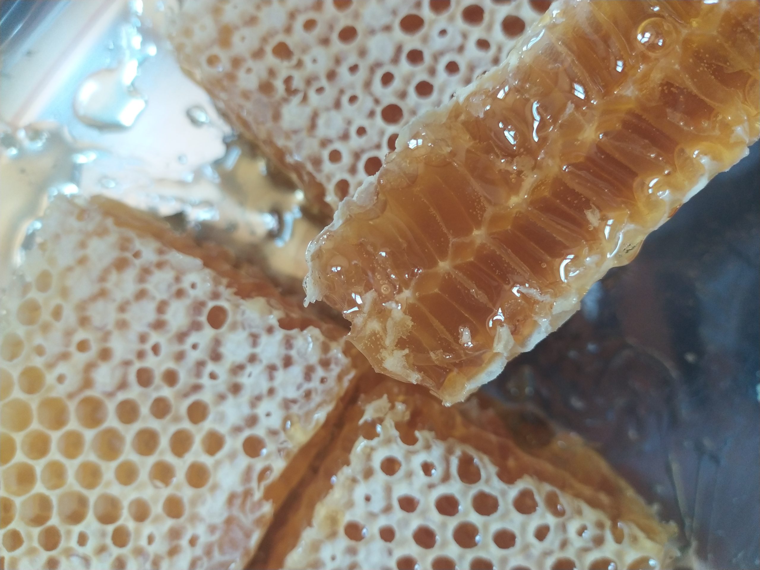 Miele in Favo di Melata 200 g – overtrees